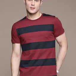 The Roadster Lifestyle Co. Round Neck Regular Fit Striped T-shirt-picture-58