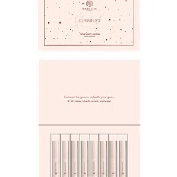 Carlton London Matte Lipstick - 4g - Begonia image 3