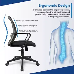 Vergo Empower MB Black Mid Back Mesh Office Chair with Lumbar Support, Fixed Armrest image 3