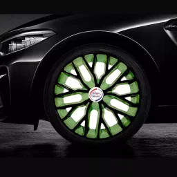 Auto Pearl R13 Press Type With Retention Ring PTAC1059 Wheel Cover for Santro Xing38.1 cm image 2
