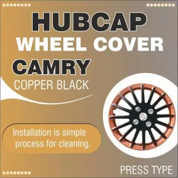 Auto Pearl R12 Press Type With Rentention Ring PT25 Wheel Cover for Maruti Alto 30.65 cm-picture-38