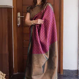 ZIKARAA Woven Design Zari Handloom Saree-picture-21