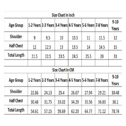 The Magic Wand Chanderi Frill Sleeves Lace Embellished & Tassel Detailed Tiered Ethnic Dress - Rust image 2