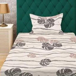 KLOTTHE Beige & Grey Floral 300 TC Fitted Single Bedsheet with 1 Pillow Cover-picture-32