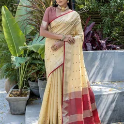 Divyadham Textiles Woven Design Zari Banarasi Saree-picture-35