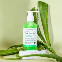 Herbal Tatva Pure Aloe Vera Gel image 5