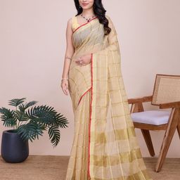 Rangtulika Ethnics Checked Saree-picture-18