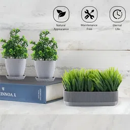 Myntra Elegant Homes Grey 3 Pieces Artificial Plant With Pot image 2