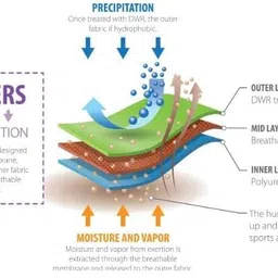 Wemyc Incontinence Underwear For Women I Washable & Reusable I For Medium Leaks I Adult Diaper I Bedwetting Panty I Colour Raspberry & Purple (XL) image 5
