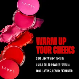 LAMEL Flamy Fever Blush image 2