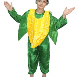 Kaku Fancy dresses Kids Corn Vegetables Costume Set-image-39