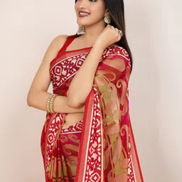 Mitera Paisley Embroidered Brasso Saree-picture-26