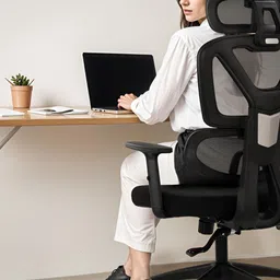 DROGO Ergonomic Black High Back Mesh Armrest 2D Headrest & Lumbar Support Study Chair-picture-34