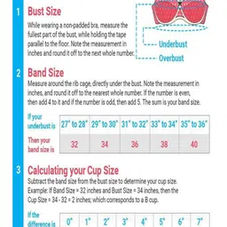 Samvar Maroon Cotton Non-Wired Non Padded Minimizer Bra image 4