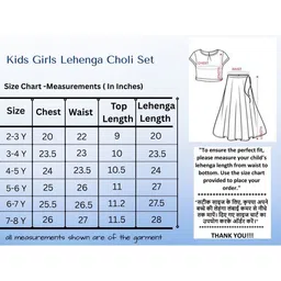 Sangria Embellished V-Neck Flared Lehenga Choli-picture-36