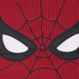 Pantaloons Junior Boys Pullover with Applique Detail image 3