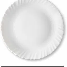 raincart Full Plate Dinner Plate image 4