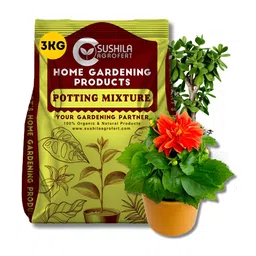 SUSHILA AGROFERT Brown 100% Natural Potting Mix Garden Accessories - 3 Kg-image-8