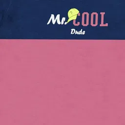 MIST N FOGG Boys 4 Colourblocked Applique T-shirt image 5