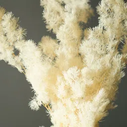 ArteCasa White & Beige Asparagus Artificial Plant image 2