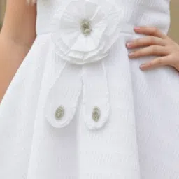 Satjal Fab A-Line Dress image 5