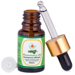 KUNJ 100% Natural & Pure Rosemary Essential Oil - 10 ml image 3