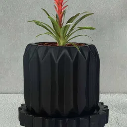 LASAKI Black Ceramic Planter With Plate-image-7