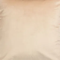 WISE HOME Cream-Coloured Set of 5 Velvet Rectangle Cushion Covers image 5