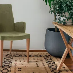 Sapana Carpet-Mats Beige Traditional No Shredding Polypropylene Carpet-picture-28