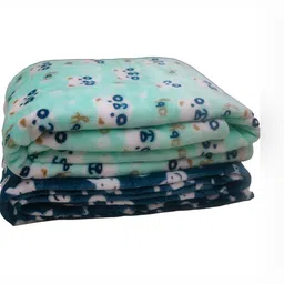 Florida Blue & Green Set of 2 Cartoon Characters Single Bed Blanket image 2