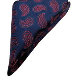 voici Paisley Design Cravats & Pocket Square Combo image 3