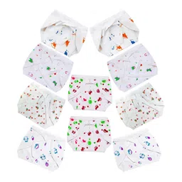 DON CARE Set Of 10 Printed Soft Cotton Nappy-picture-10