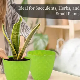 Kuber Industries 2-Pieces Green Textured Planters image 3