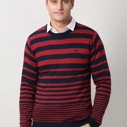 peter england casuals Peter England Striped Crew Neck Pullover-picture-31