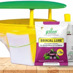 green revolution Funnel Trap With Lucin O Lure Combo Pack (Leucinodes orbonalis pheromone lure)-picture-21