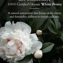 Lotus Organics+ Set Of 2 White Peony Brightening De-Tan Face Pack-100g Each image 5