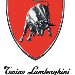 Tonino Lamborghini Men Dial & Straps Analogue Watch TLABSG-SS-R image 2