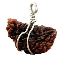 Divine souvenirs Unisex Brown Pendant image 1