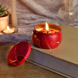 Myntra Elegant Homes Red & Red 1 pieces Jar Candle-picture-29