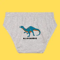 NUSYL Boys Pack Of 3 Printed Mid Rise Basic Briefs - NUBCBRFPO3.0122 image 5