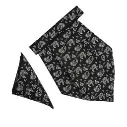 voici Paisley Design Cravats & Pocket Square Combo-picture-45