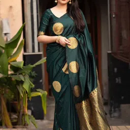 Parampara Ethnic Woven Design Saree image 4