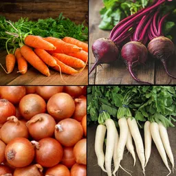 opulent mirage Root Vegetables Seed Combo Seed-picture-38