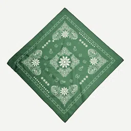 Bershka Men Printed Scarf image 4