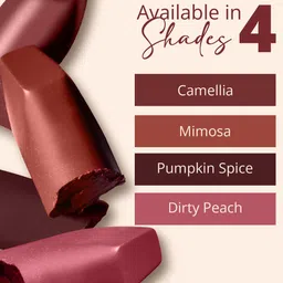 Carlton London Glitterati Matte Lipstick With Vitamin E - 4g - Dirty Peach VS01 image 4