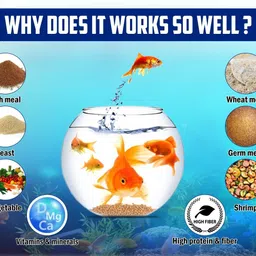 boltz Granule Fish Food For Growth & Health Of All Life Stages 1000Gm Fish 1 kg Dry Adult Fish Food image 3