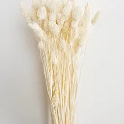 ArteCasa White 1 Pieces Artificial Flower image 2