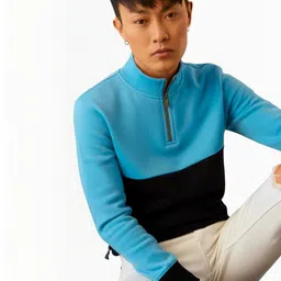 Try This Colourblocked High Neck Regular Sleeves Cotton Regular Fit T-shirt-picture-21