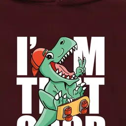 NUSYL Boys Printed Hooded Sweatshirt image 3