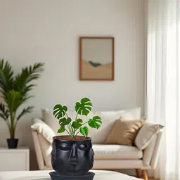 LASAKI Vivan Black Ceramic Handmade Planter With Plate image 2
